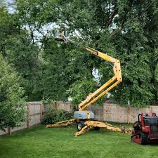 Best Lawn Maintenance Plans  in Maricopa, CA